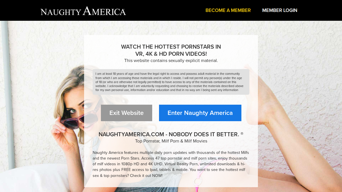 Naughty America · Náhled webu