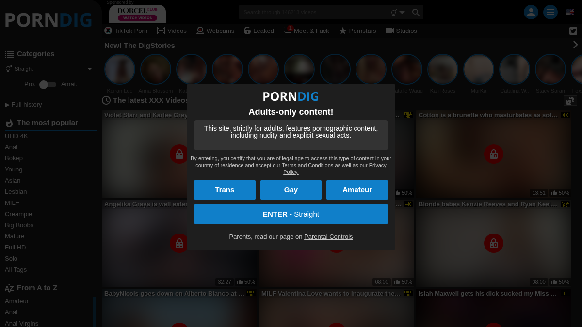 PornDig · Náhled webu